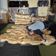 6 Piece Rug