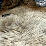 Brown-White - Image 2