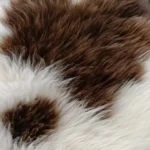 Z10 | White - Choc Brown - Image 2