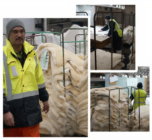 Bowron Lambskin Tanneryteam in Christchurch