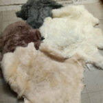 M7 - Below Grade Pelts
