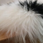Sheepskin Rug | Polar Bear - Image 3