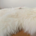 Sheepskin Rug | Polar Bear - Image 4