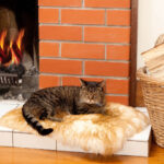 Pet Snuggly Sheepskin Pad - Image 2