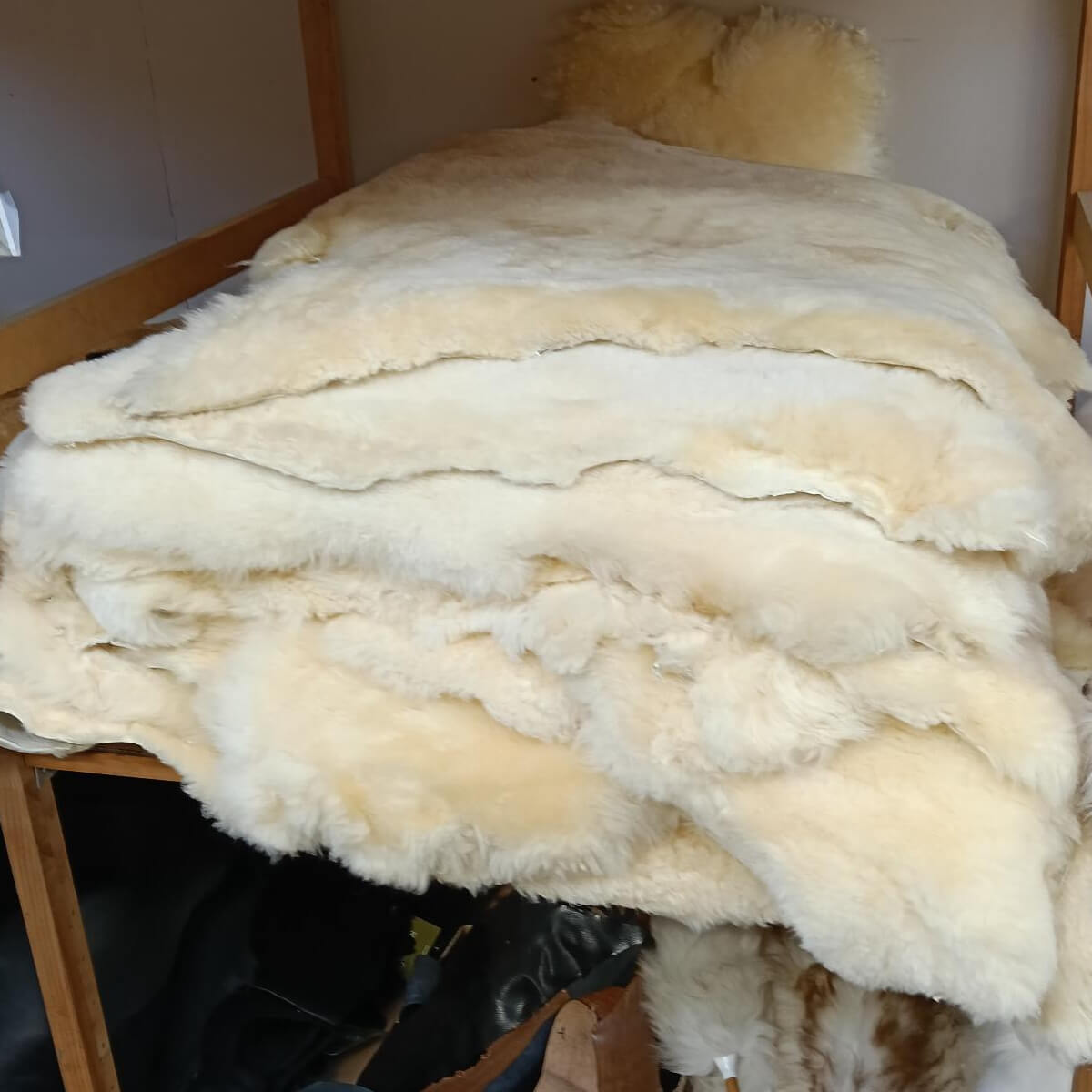 Oaten Shortwool - Clearance