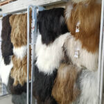 Icelandic Fleece - Natural - Image 2