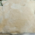 Oaten Shortwool - Clearance - Image 2