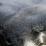 Sheepskin For Horse Saddles - Image 2
