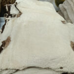 Perfect for Clothing | Twinface - Image 2