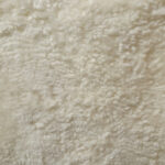 Shorn / Curly Lambskin Pelt - Image 2