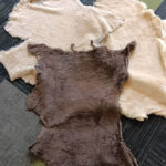 Shortwool Pelts - Mixed - Image 2