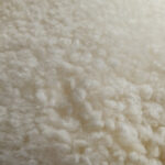 Shorn / Curly Lambskin Pelt - Image 2