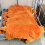 Sunkissed Shortwool | 27mm