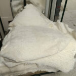 Shorn / Curly Lambskin Pelt