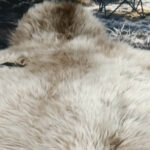 White-Light Brown - Image 3