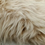 Cream-White - Image 2