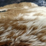 Caramel-White - Image 2