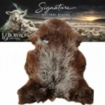 Z16 | Warm Dark Brown-White