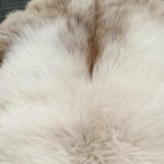 Z20 | Caramel-White - Image 2