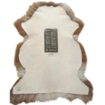Z20 | Caramel-White - Image 3