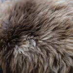 Z44 | Mid Brown Mix - Image 2