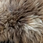 Z44 | Mid Brown Mix - Image 3