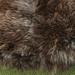 Z17 | Mid-Dark Brown - Image 3