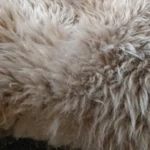 White-Light Brown - Image 3