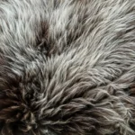 Z16 | Warm Dark Brown-White - Image 2
