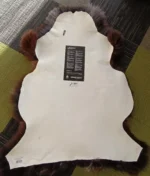 Z16 | Warm Dark Brown-White - Image 3