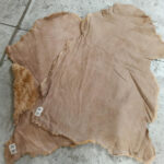 Soft Autumn Twinface Pelt - Image 2