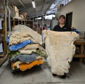 New Zealand Farmed Sheepskins