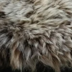 Z12 | Motley Mix - Image 3