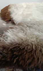 Z35 | White-Light Brown Mix - Image 2