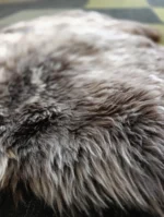 Z36 | Motley Grey Mix - Image 3