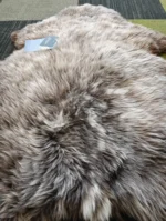Z36 | Motley Grey Mix - Image 2