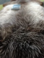 Z46 | Mid-Dark Brown Mix - Image 3