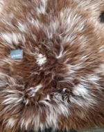 Z47 | Warm White/Brown - Image 4