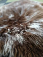 Z47 | Warm White/Brown - Image 2