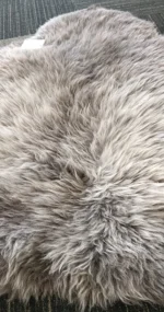 Z11 | Motley Grey - Image 2