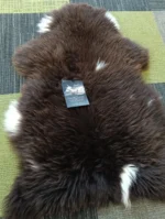 Z48 | Dark Brown-White Mix - Image 4