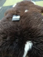 Z48 | Dark Brown-White Mix - Image 2