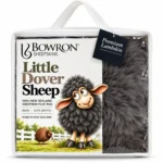 little dover website (1)