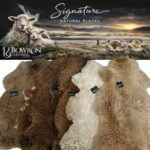 Undyed Natural NZ Sheepskin - Image 3