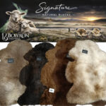 Undyed Natural NZ Sheepskin