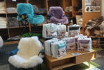 Sheepskin Camping Chair Cover – Unique NZ Gift - Image 3