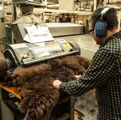 Wholesale Sheepskin Supplier NZ Trade Buyers Trust